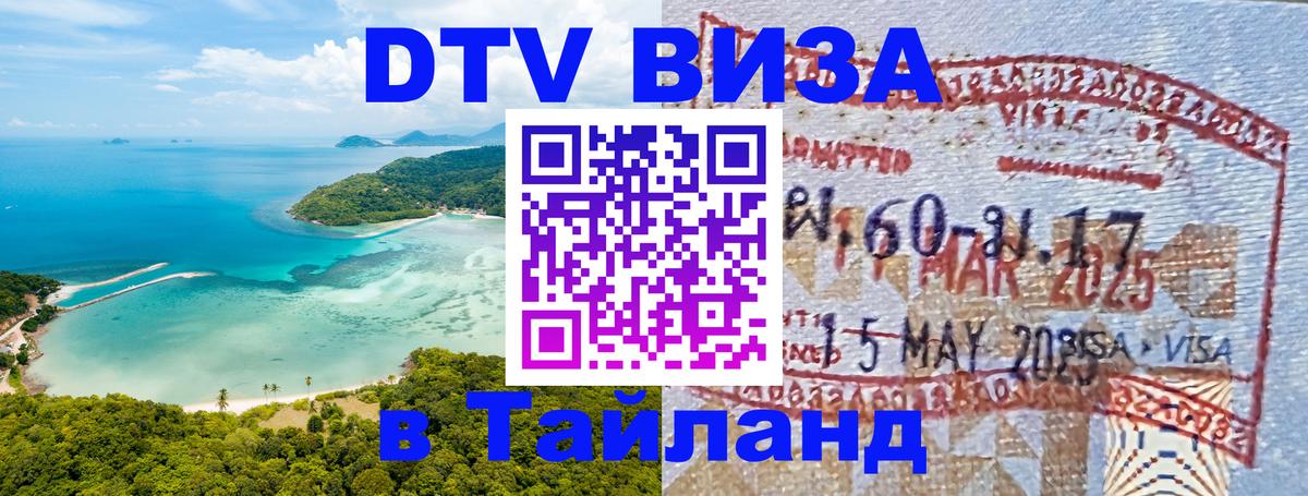 Сколько стоит DTV виза — актуальные цены, оформление даже без документов - 08.01.2026 